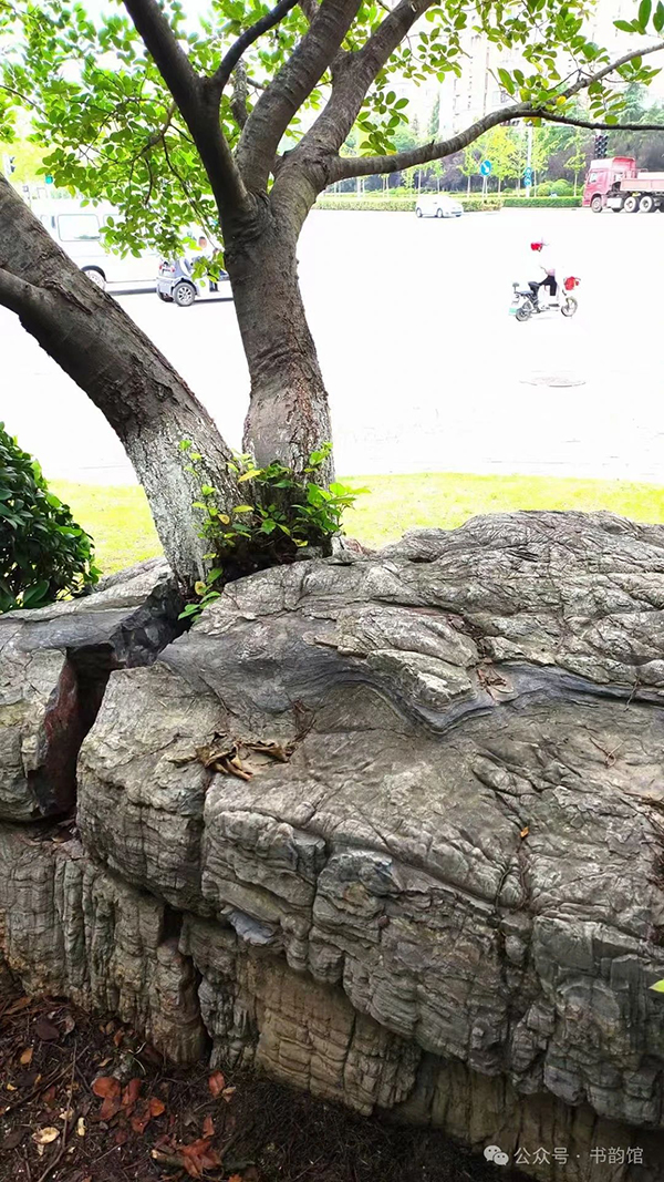 �`��ʯ�p�е������Y��