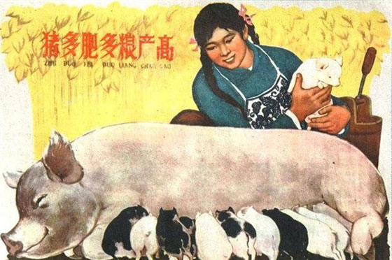 �M�D:20���o(j��)�Ї�ʳƷ�������߼t�W(w��ng)�j(lu��)��12��