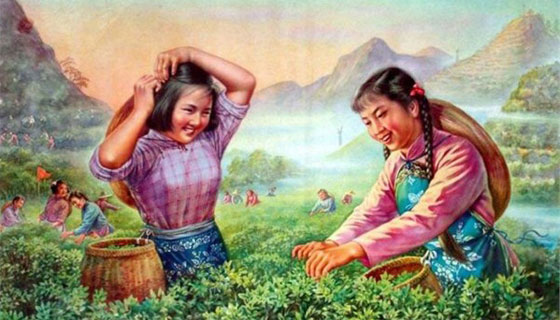 �M�D:20���o(j��)�Ї�ʳƷ�������߼t�W(w��ng)�j(lu��)��9��