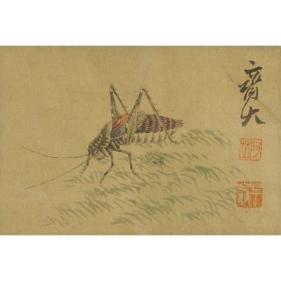 �R��ʯ��� ���x