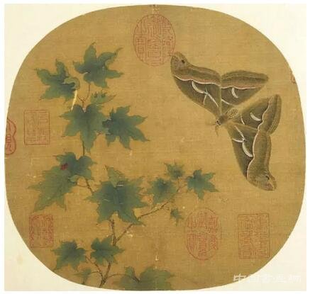 ��(d��)�߽��ĵ��δ���������