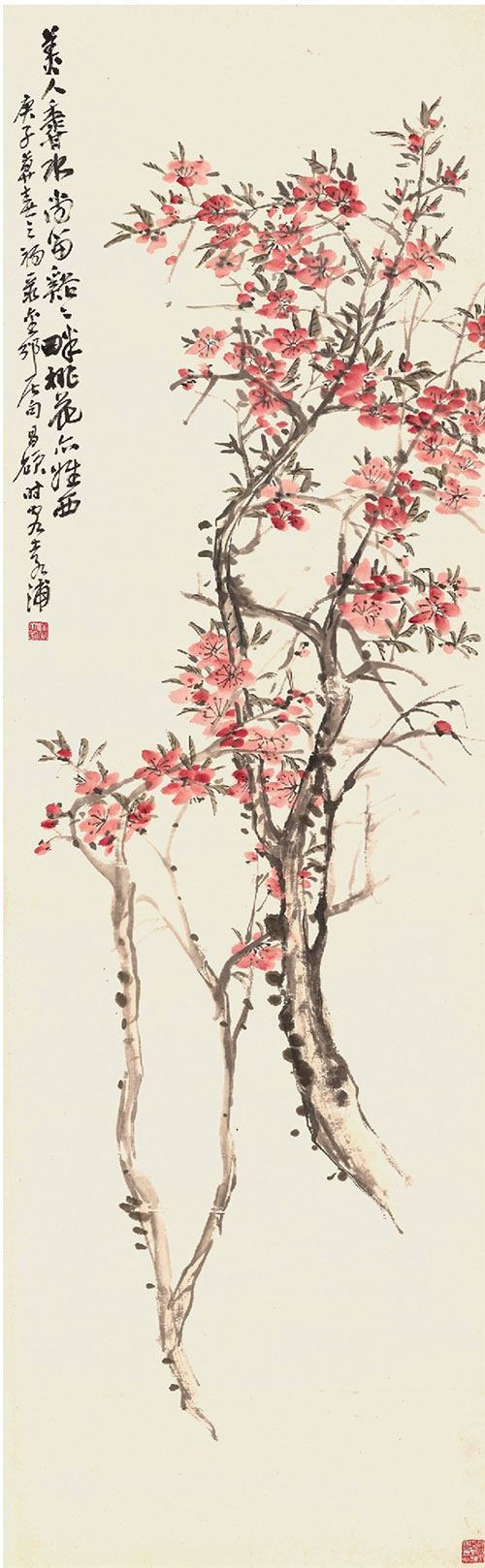 �ǲ��T ����