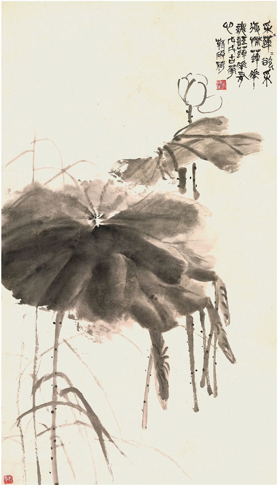 �ǲ��T ����