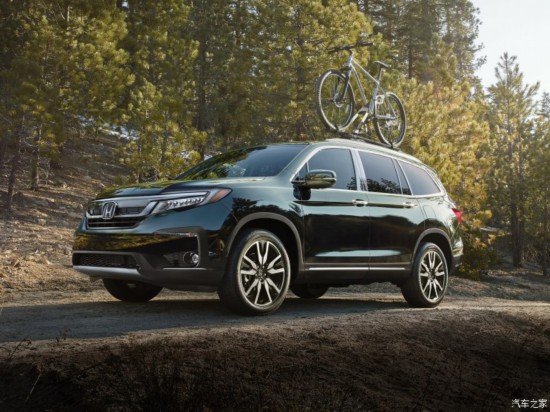 ����(�M��) Pilot 2019�� ������