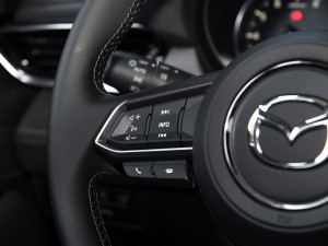 ����Ɲ2020�� 2.5L �{(l��n)�������