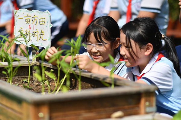 2025��9��16������ɽ�|ʡ���u���б��^(q��)��ɽ��·С�W(xu��)�ķNֲ�@���������W(xu��)�����^��Nֲ�Ĳ�����