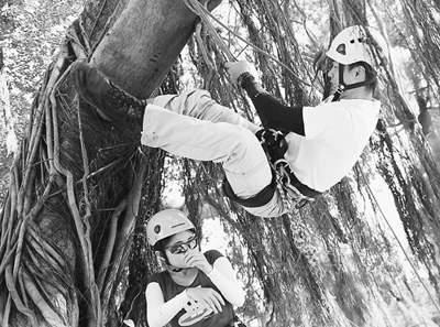 �����n�������n������(gu��)����У�����n��������(zh��ng)�h