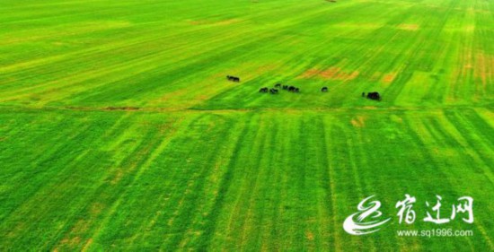 QQ�DƬ20210713100356