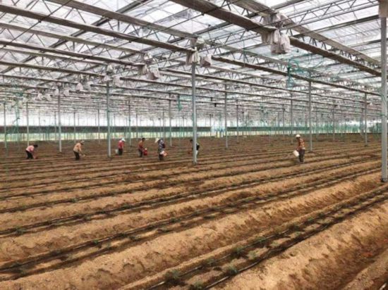 ΢�ňDƬ_20210901092821