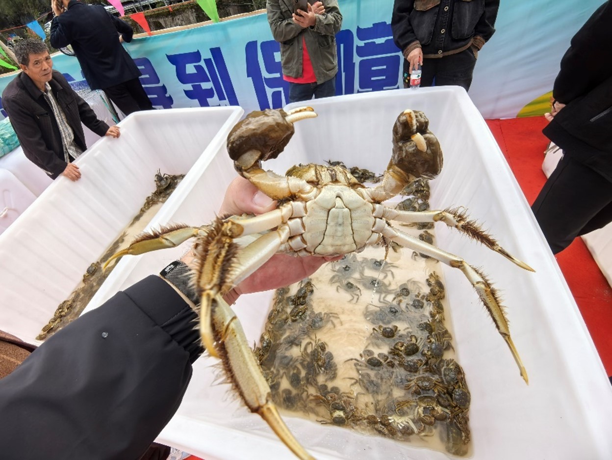 �౳���׶ǡ���צ���һ�Դ��ɽ���lз�����Քz