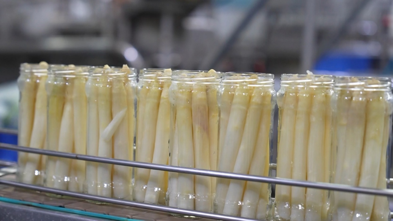 �ܿh�J�S������������