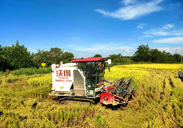 �������^�絾�C(j��)�լF(xi��n)��(ch��ng)��