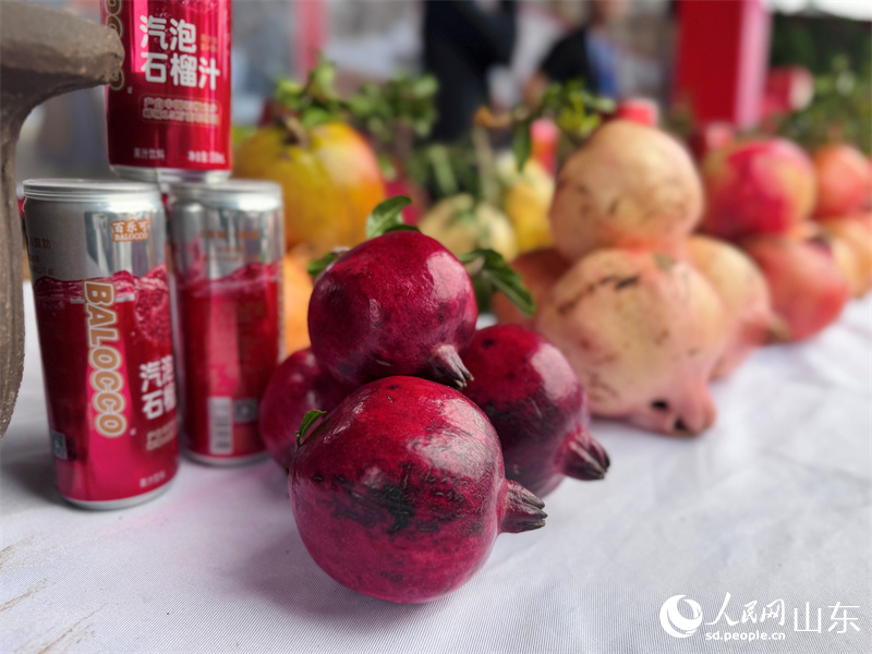 2025���Ї�(gu��)�r(n��ng)���S�չ�(ji��)ȫ��(gu��)����(ch��ng)���(d��ng)���l(xi��ng)����ϣ�չʾ����(g��)Ʒ�Nʯ��ʯ����ӹ��a(ch��n)Ʒ������W(w��ng) ��꿘�z