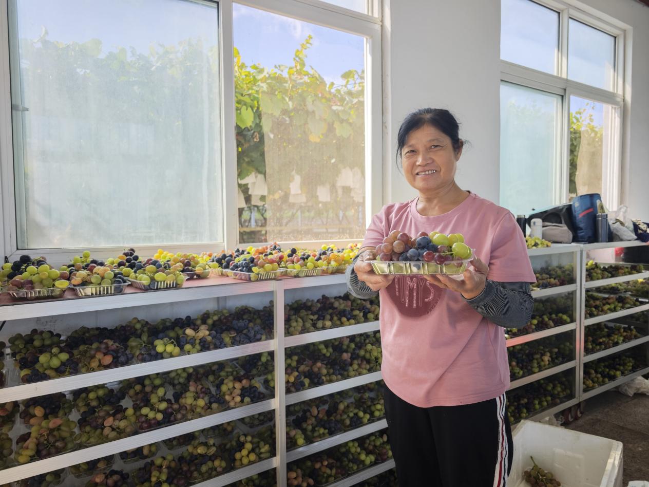 �r(n��ng)��ЦĘӯӯ��չʾ����ƴ�P��ƽ����ί���������D