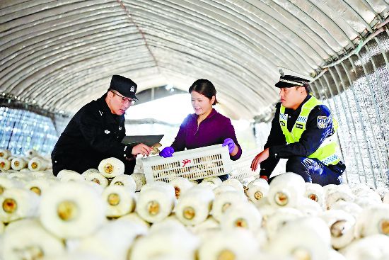 ��(d��ng)Ϳ�h�����g���^�o��