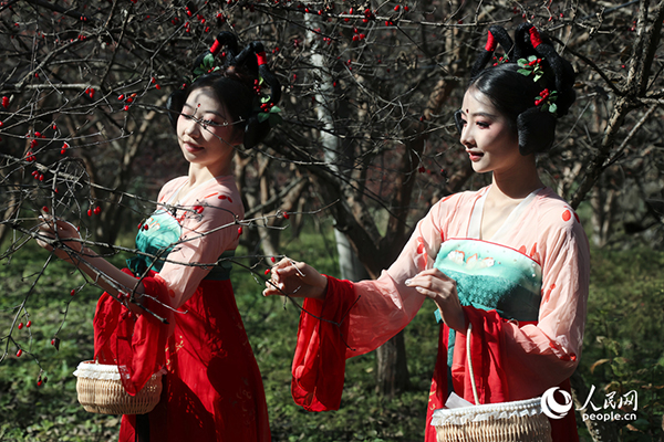 ɽ�����S�գ����������ο�ǰ���w�(y��n)��ժ������W(w��ng)ӛ�� ��ƽ�z