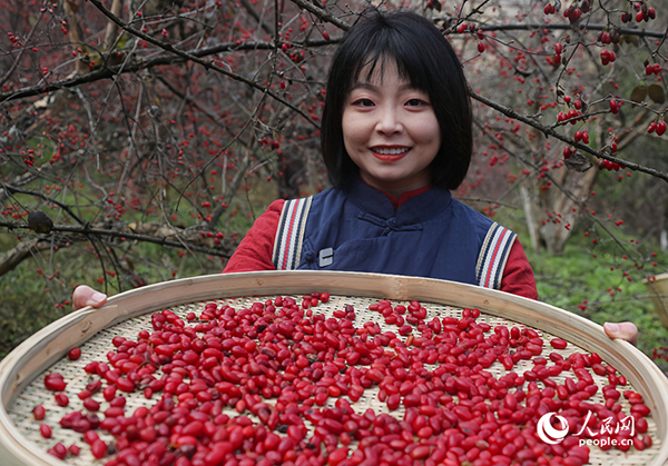 ɽ�����S�������������ο�ǰ���w�(y��n)��ժ������W(w��ng)ӛ�� ��ƽ�z