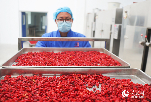 ���a(ch��n)܇�g��������ڼӹ�ɽ����������W(w��ng)ӛ�� ��ƽ�z