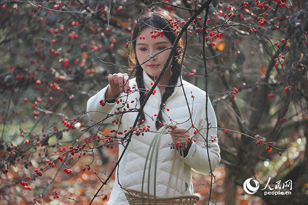 ɽ�����S�������������ο�ǰ���w�(y��n)��ժ������W(w��ng)ӛ�� ��ƽ�z