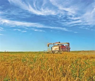 ����ǰ�����ִ�С��ϲӭ�S�����������z