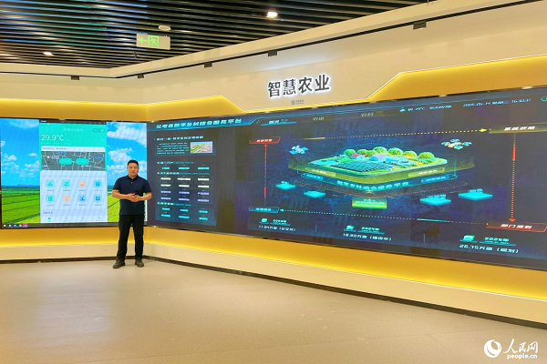 �m���h��(sh��)���l(xi��ng)��C�Ϸ���(w��)ƽ�_(t��i)��ë�ΐ��z