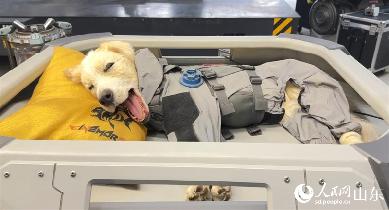 ��Ч�����Ҟ��Ӱ����ķ����C(j��)е����������������W(w��ng) ��꿘�z