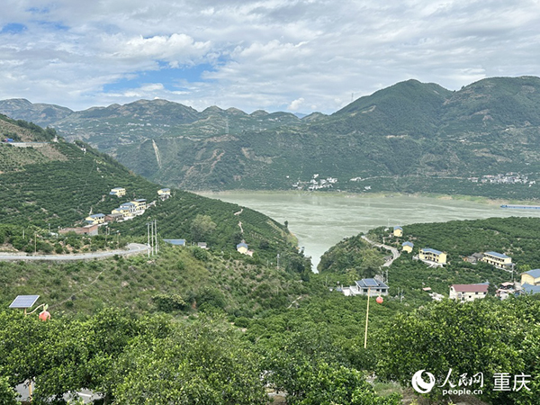 �(ji��)�h�����(zh��n)��δ�Ě�Ș�鲼ɽ��������Wӛ�� �������z