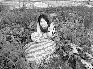 ���K���w������112���س���&ldquo;������&rdquo;(�D)