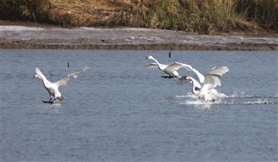 �������B(t��i)����