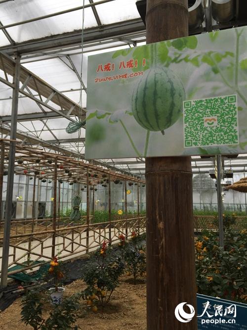 �߲˴�����^��^(q��)��(n��i)�о���ُ����S�a�����οͼ��r��������W(w��ng)ӛ�� ���הz