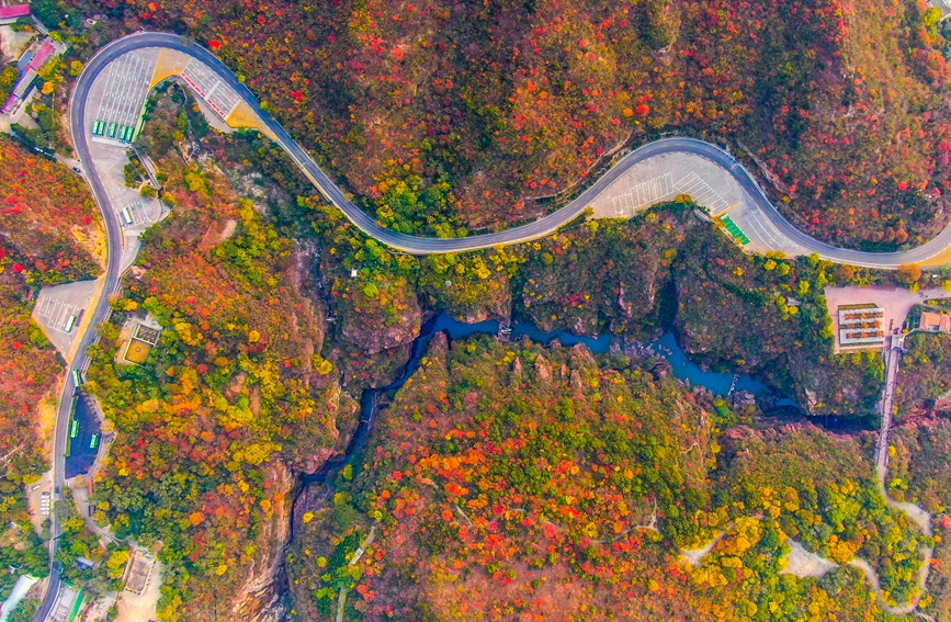 �����B����_ɽ�����������Ȕz