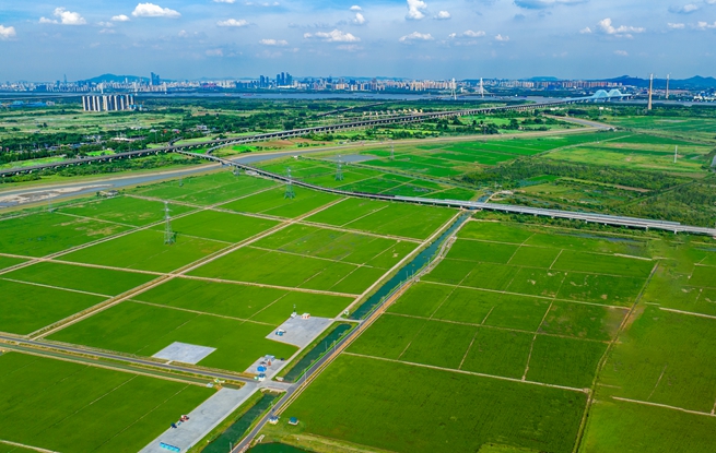 �Ͼ��ֿ��m�����ߘ˜��r�����ֿڅ^(q��)ί���������D