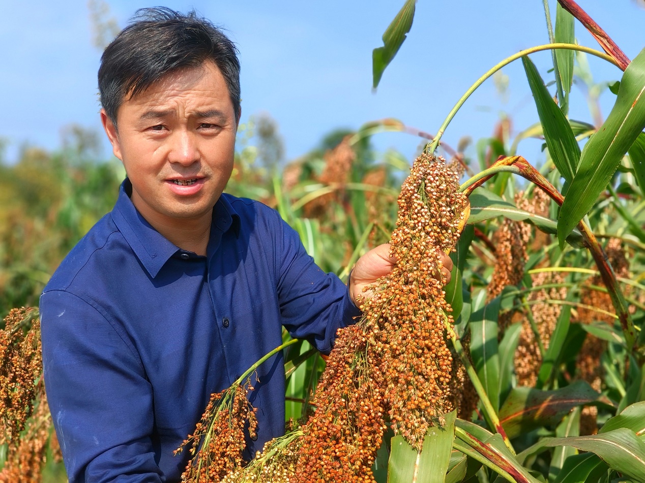 �t���ĸ������������w��M�ȴ��S�����������S�ǅ^(q��)�r(n��ng)�I(y��)�r(n��ng)��ֹ��D