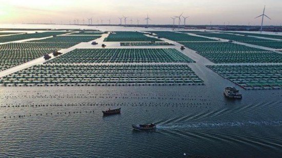 �s����ɣ�Ϟ�����������