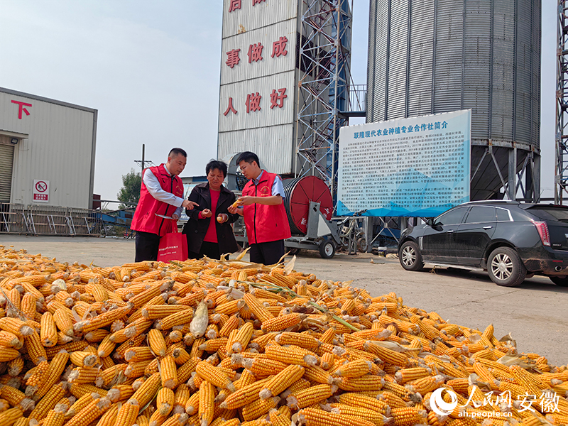 Ԭ����Nֲ�������ի@�������������W(w��ng)ӛ�� �n����z