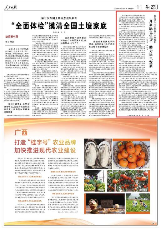 �������Ո󡷣�2024��12��09�� �� 11 �棩 