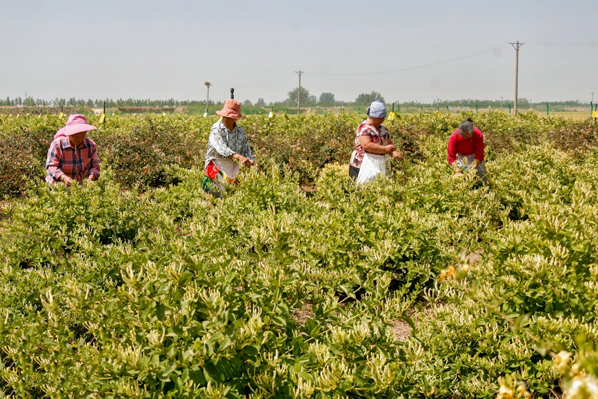 ���Ϸ�����ΰ�һ��