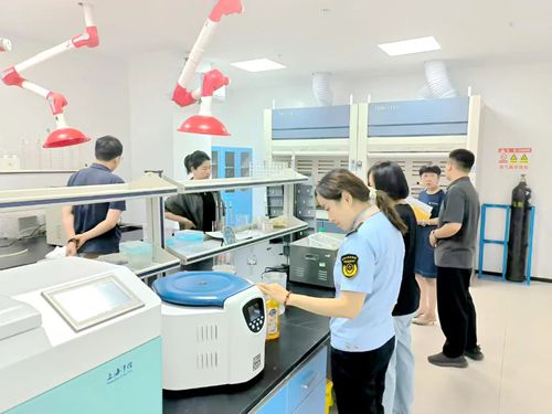 �����������^(q��)�����_��