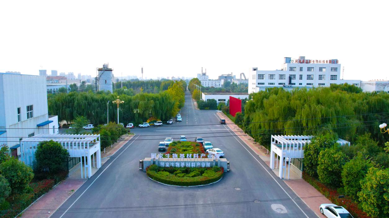 �Ϙ�(l��)��(gu��)����������Ϯa(ch��n)�I(y��)�@�����V���z