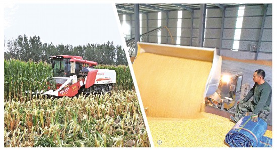 ɽ�|����ȫ朗l�e�롱