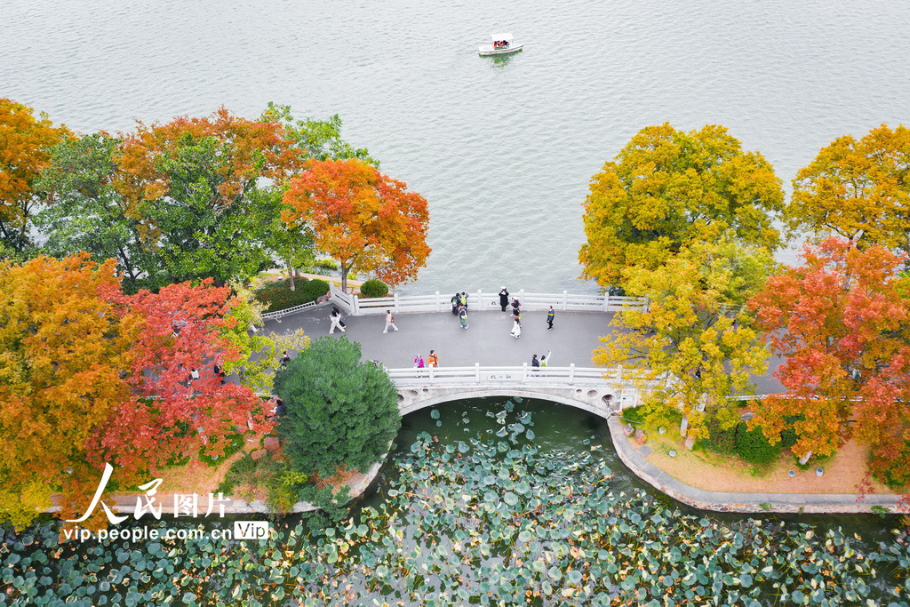 ������ﾰ�箋