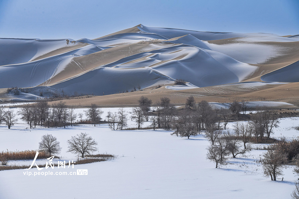 �½�ξ�磺ѩ���Į���箋