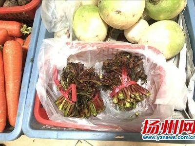 �㴻���ۃr�I������Ұ��