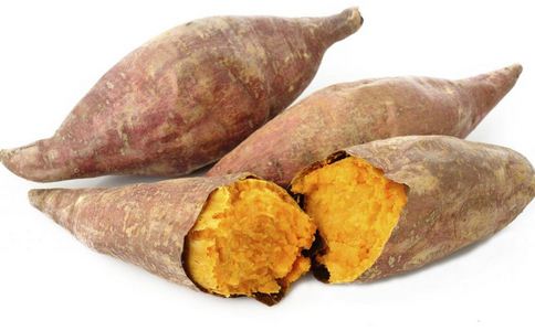 �t������������Щ �t���������ó� �t������Щʳ����