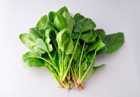 �ϰ��ϸ��X�������I(l��ng)�������X��Բ��˴���