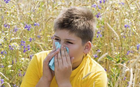 �＾���װl(f��)����ʲô�� �＾����A(y��)������ ���׳�ʲôʳ��