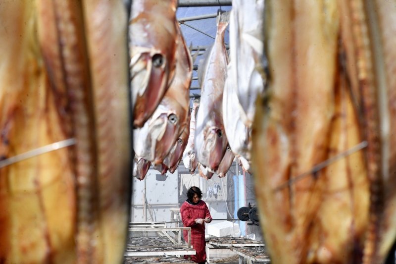 �O����������N��һ�u�r���L(f��ng)ζ�~(y��)����