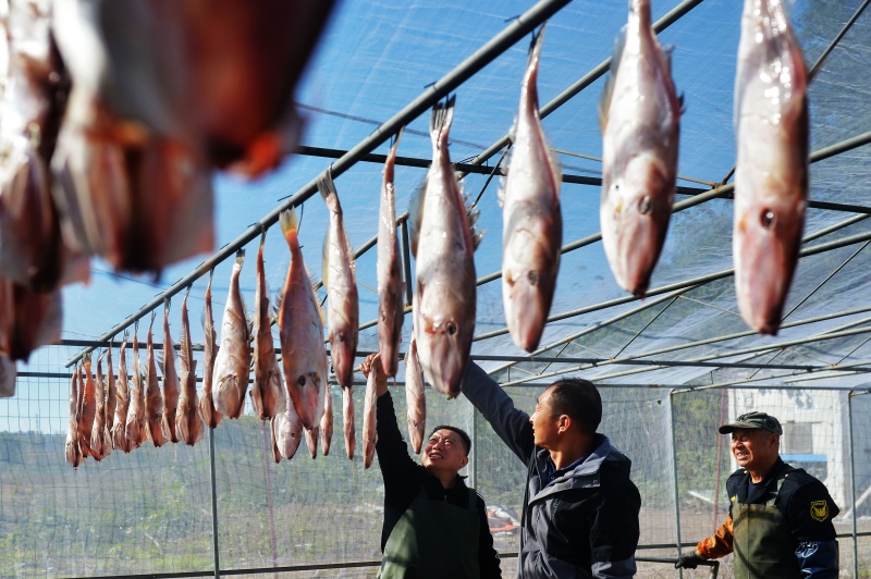 �O��������һ�u�r������~(y��)����