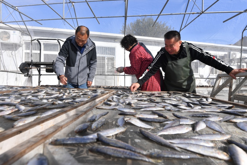 �O����������N��һ�u�r���L(f��ng)ζ�~(y��)����