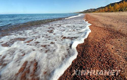 �@��10��18���ڼ�����˹˹̹�����˺��ݾ���(n��i)�Ĕz�������˺���ɫ��